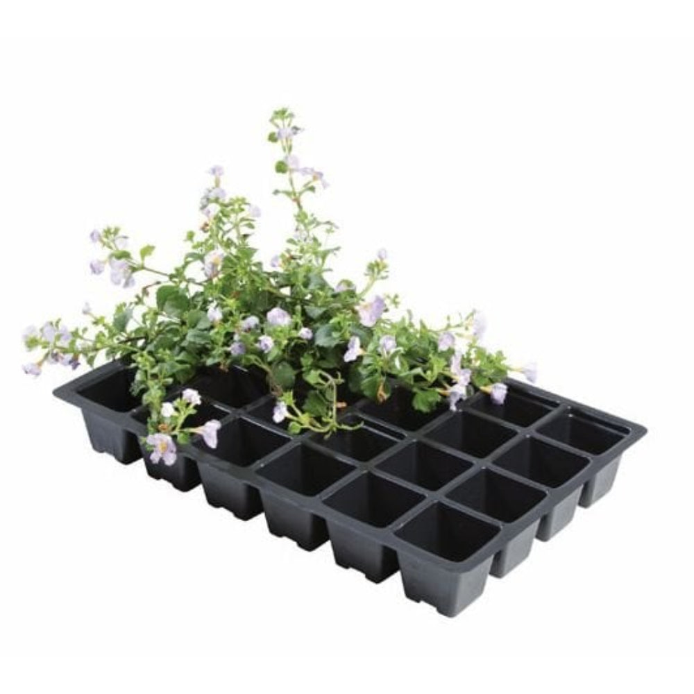 Seedling Starting Trays  24-Cell  Pack of 5