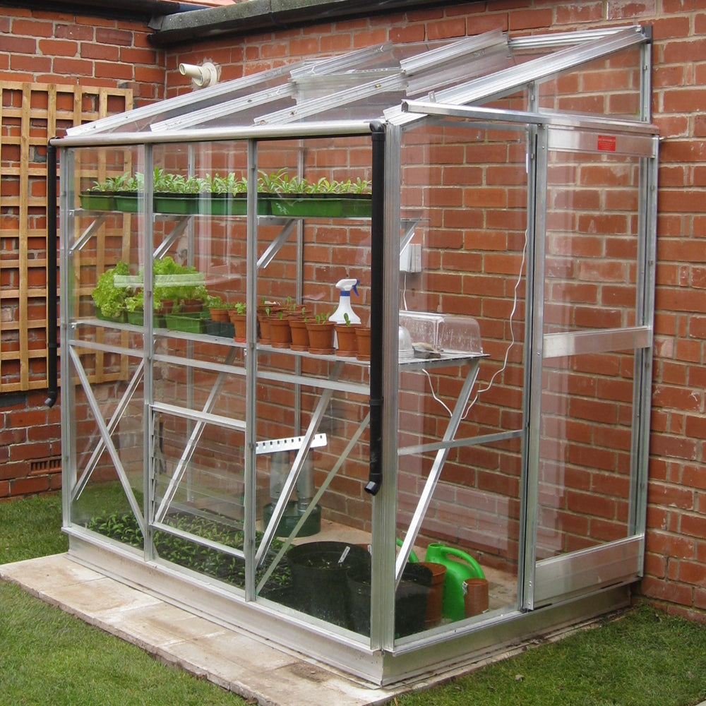 Lean to Greenhouse with plants