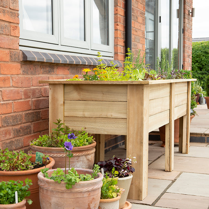 Kitchen Garden Planters