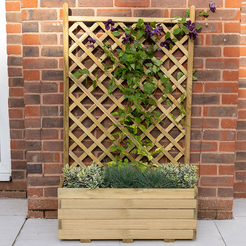 Forest Garden Trellis Planter