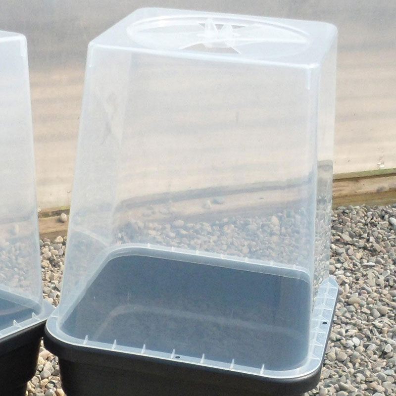 Quadgrow Clear Lid for 11ltr Pots pack of 4