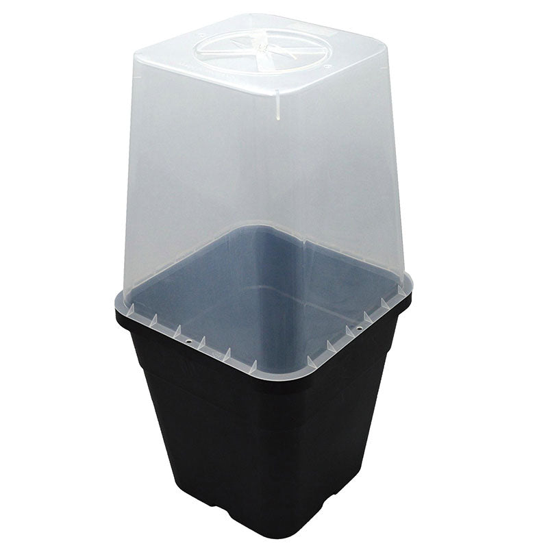 Quadgrow Clear Lid for 11ltr Pots pack of 4