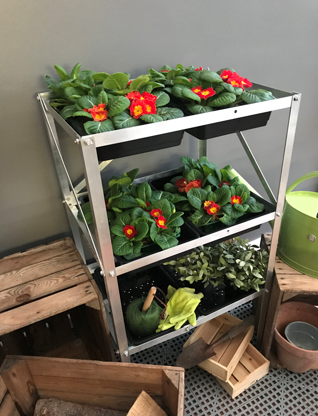 Greenhosue Seed Tray with flowers