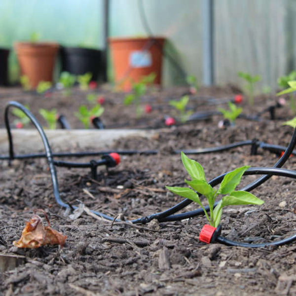 WaterMate Pro Automatic Greenhouse And Polytunnel Watering System