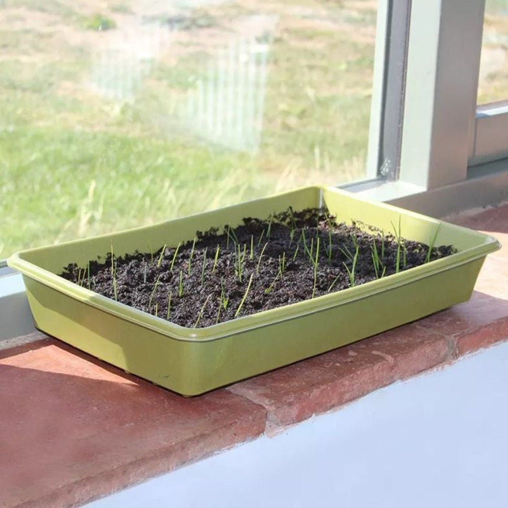 Bamboo Seed Trays