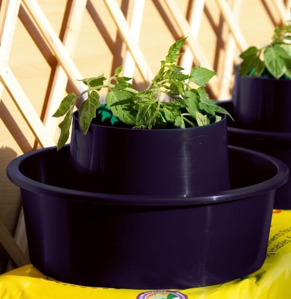 Tomato Growpots