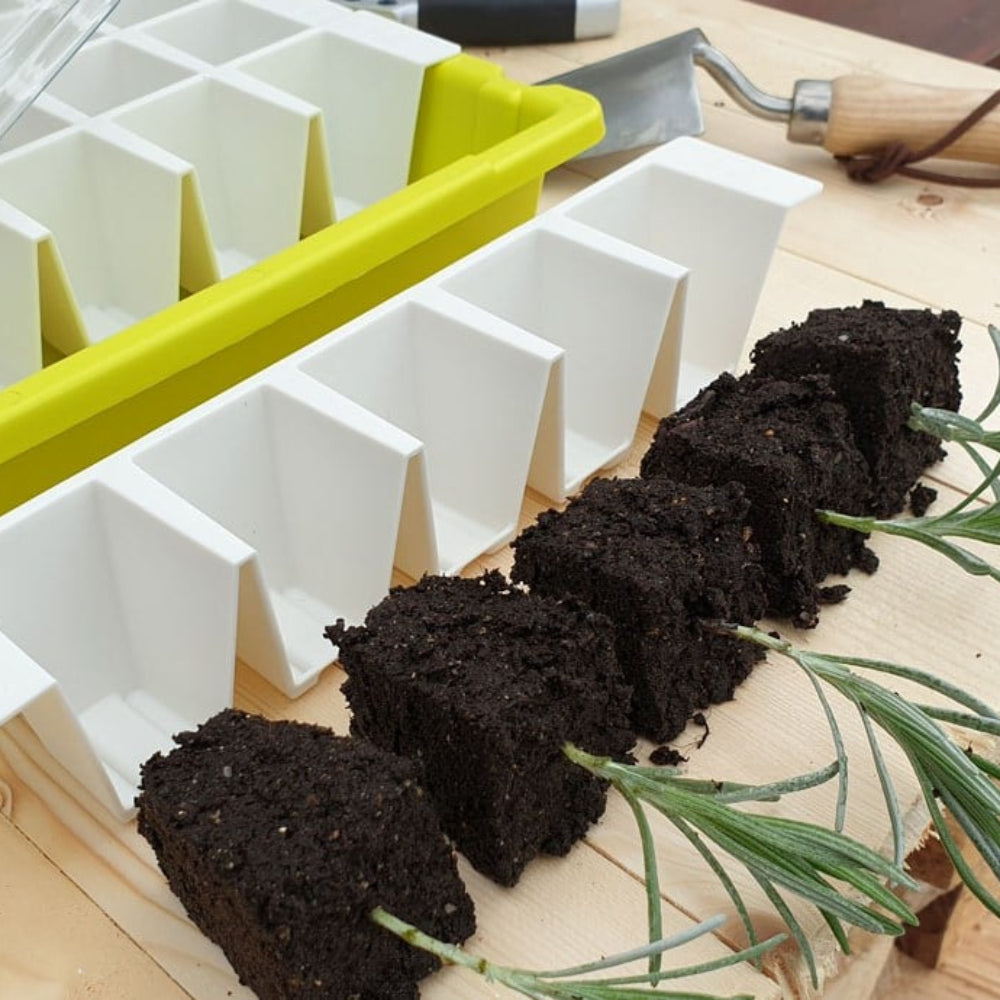 Bustaseed Self Watering Propagation Kit