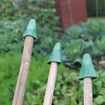 Cane Caps