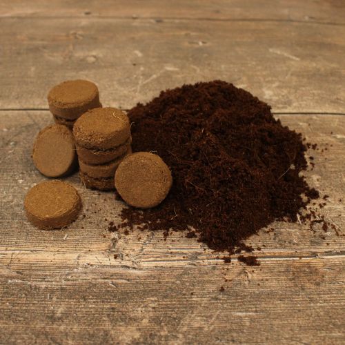 Compost Coir Disks