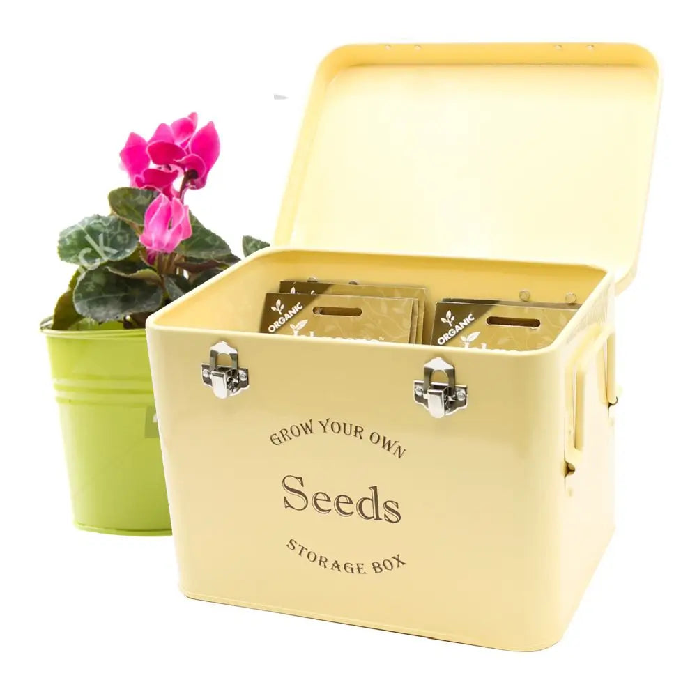 cream seed tin with flower in pot for decoration