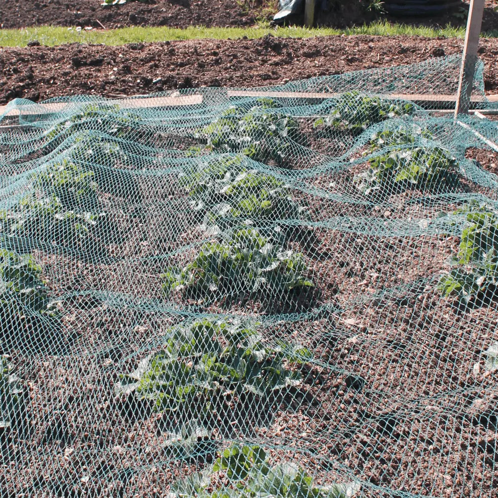 green bird netting on allotment