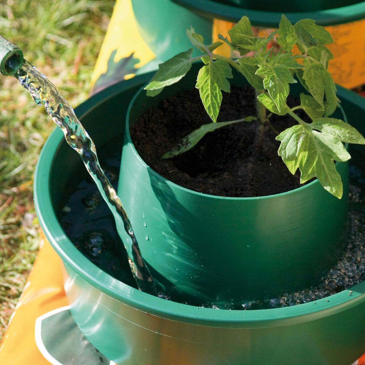 Tomato Growpots