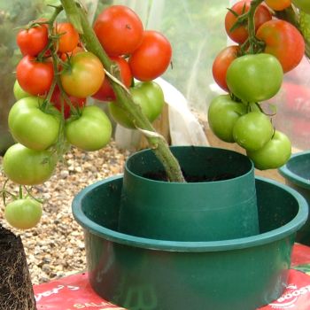 Tomato Growpots