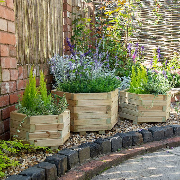 York Hexagonal Planter Set