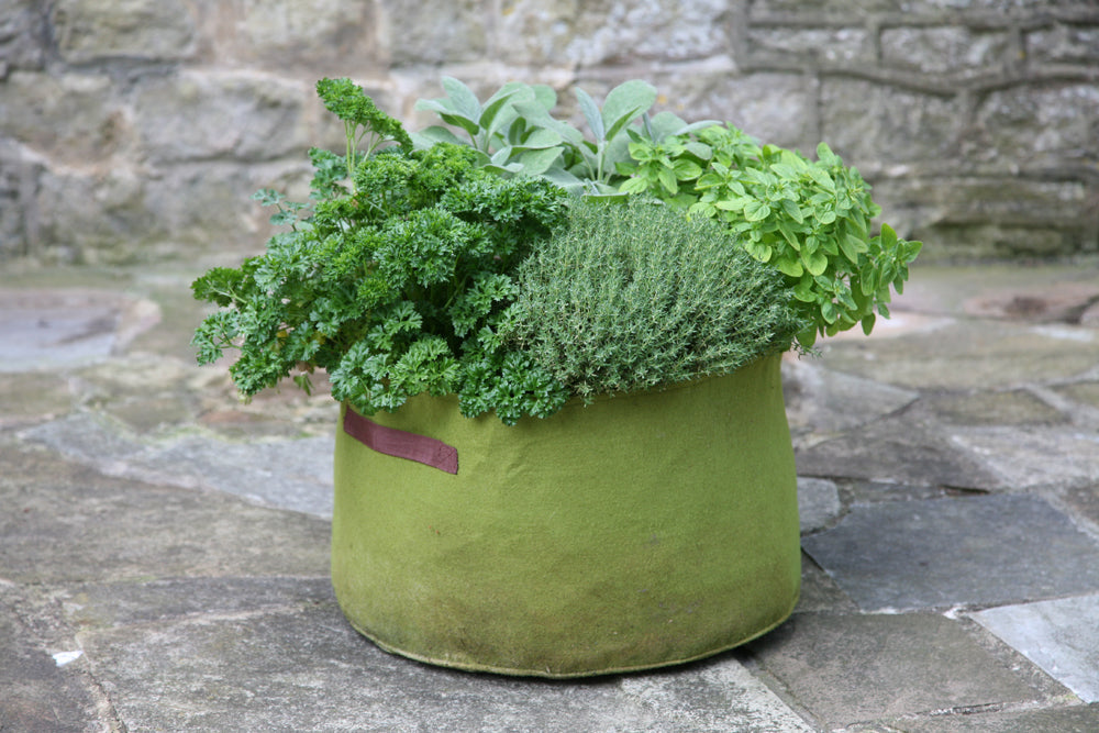 Vigoroot Fabric Herb Planter