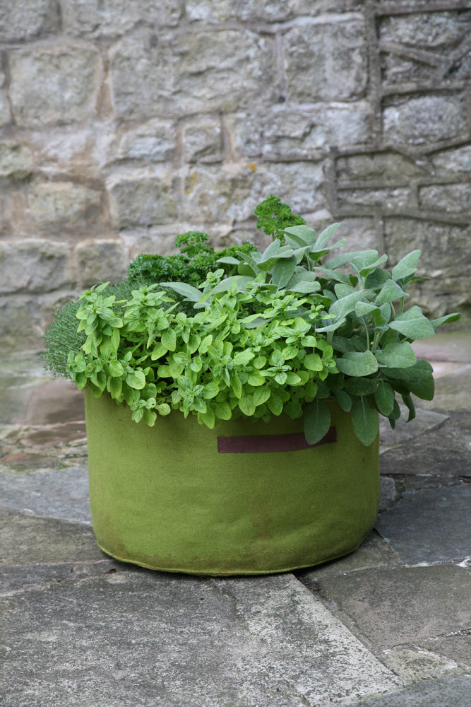 Vigoroot Fabric Herb Planter