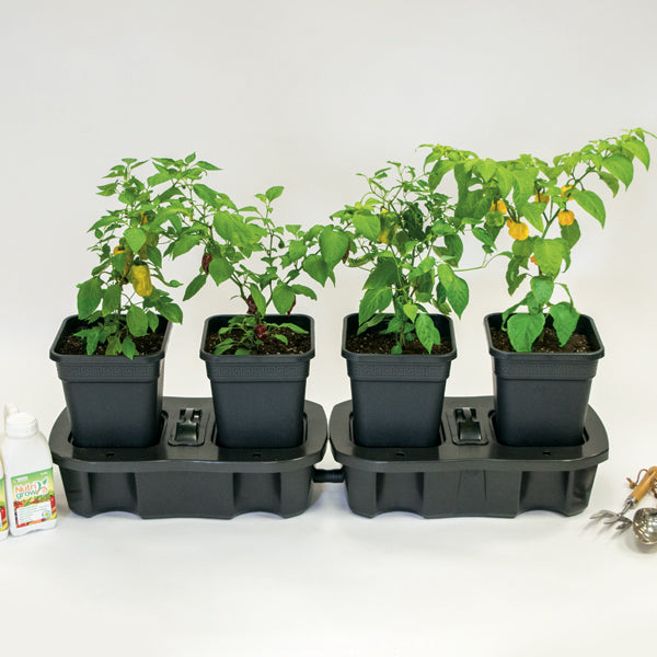 Quadro Planter