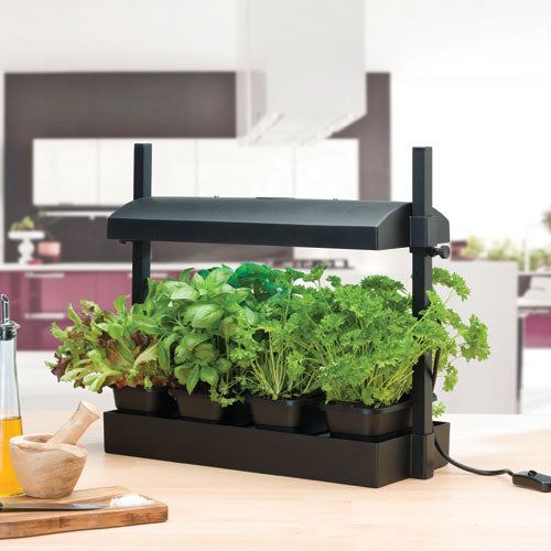 Compact Micro Grow Light Garden for Herbs and Salad