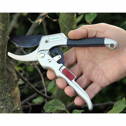 Classic Ratchet Secateurs