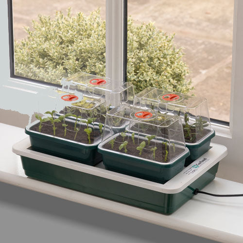 Fab4 Propagator