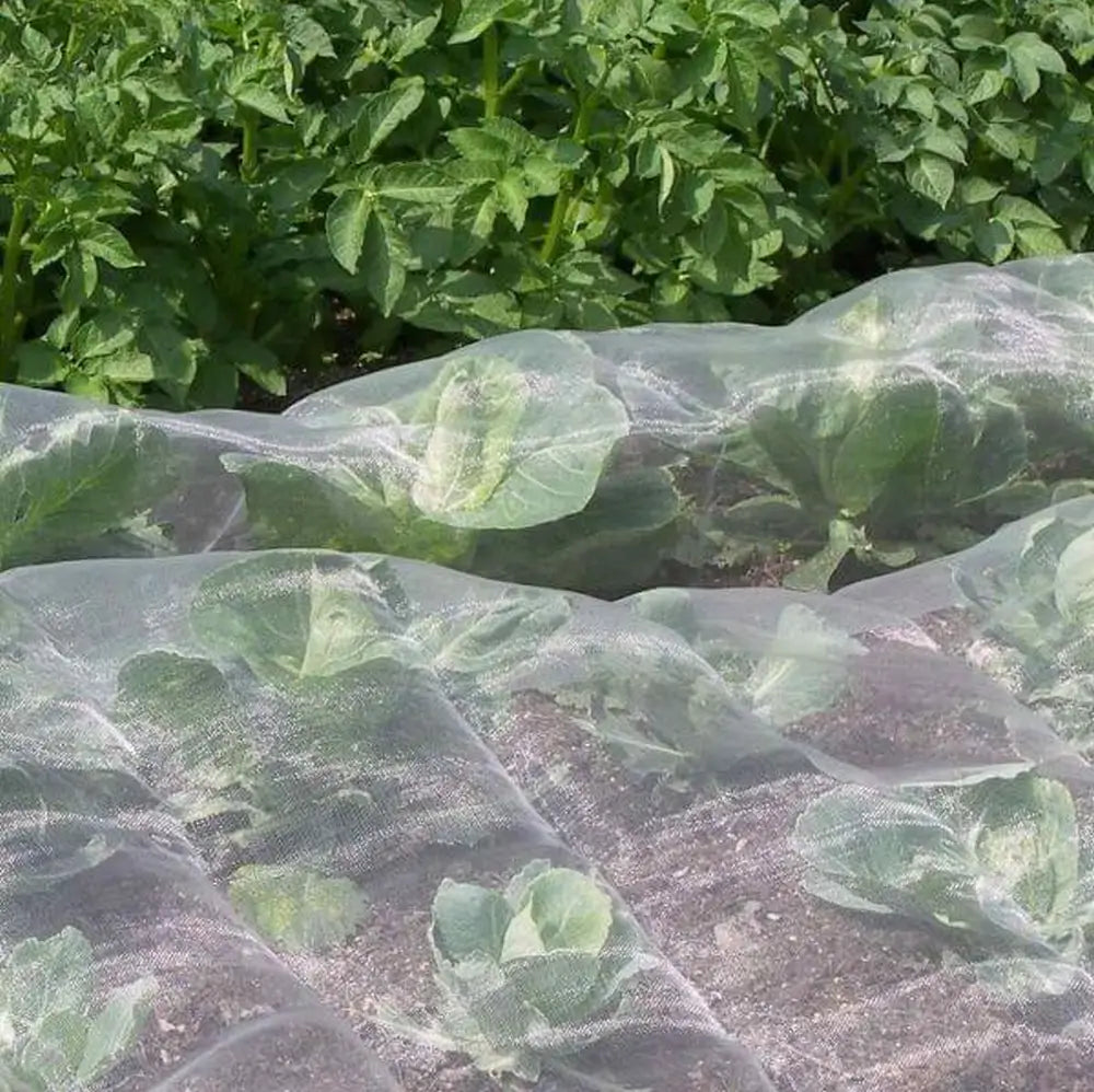 insect mesh over vegetables 