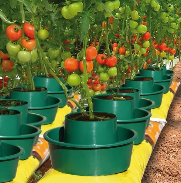 Tomato Growpots