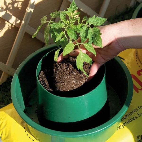 Tomato Growpots