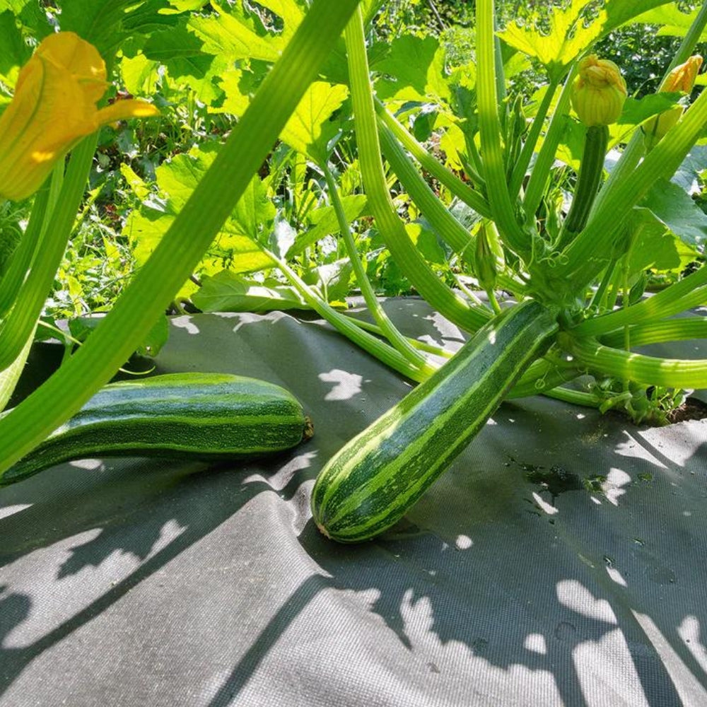 Weed Barrier Fabric