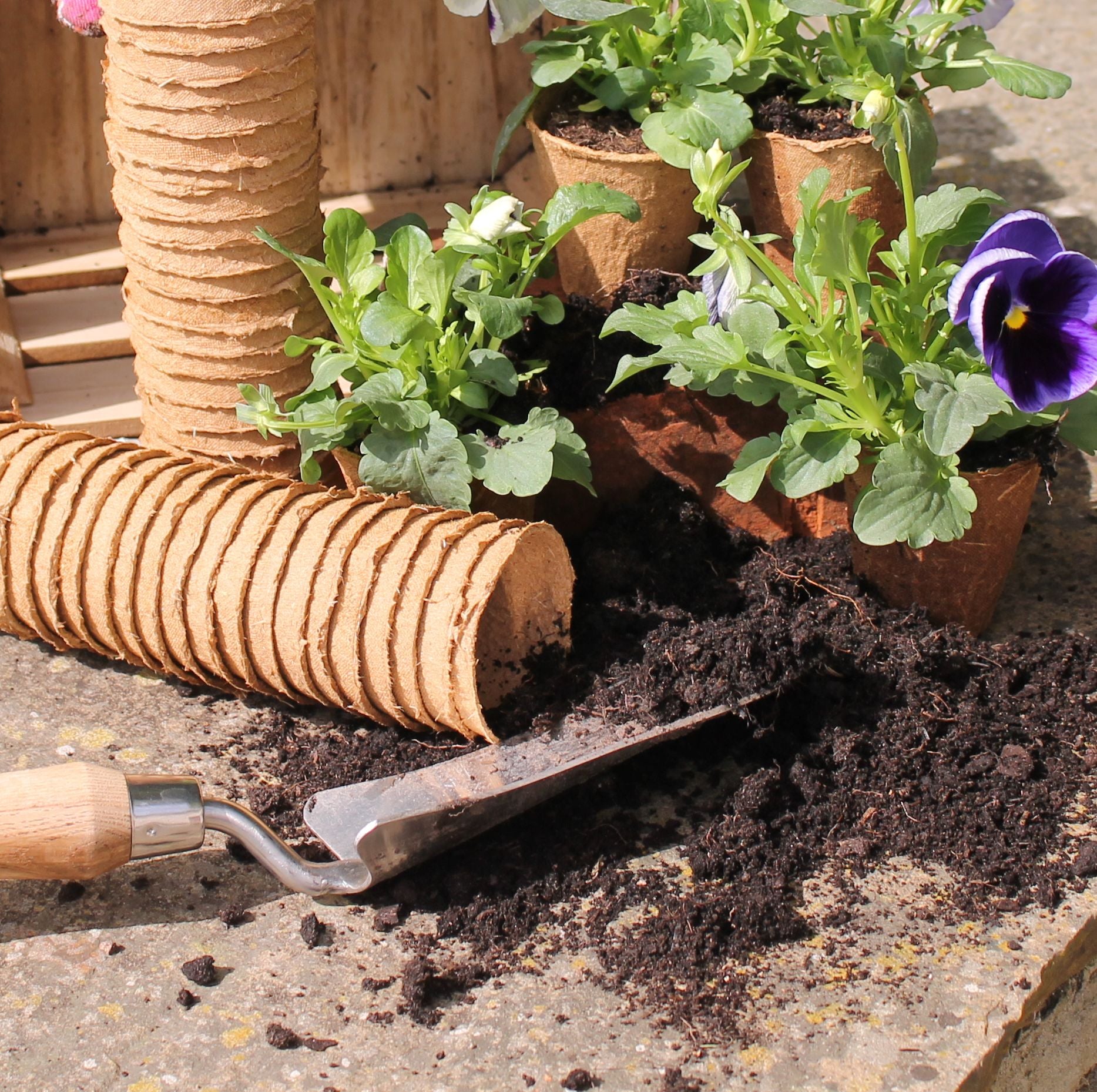 Wood Fibre Pots